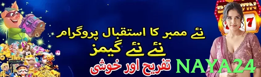 naya24 Pakistan - 3